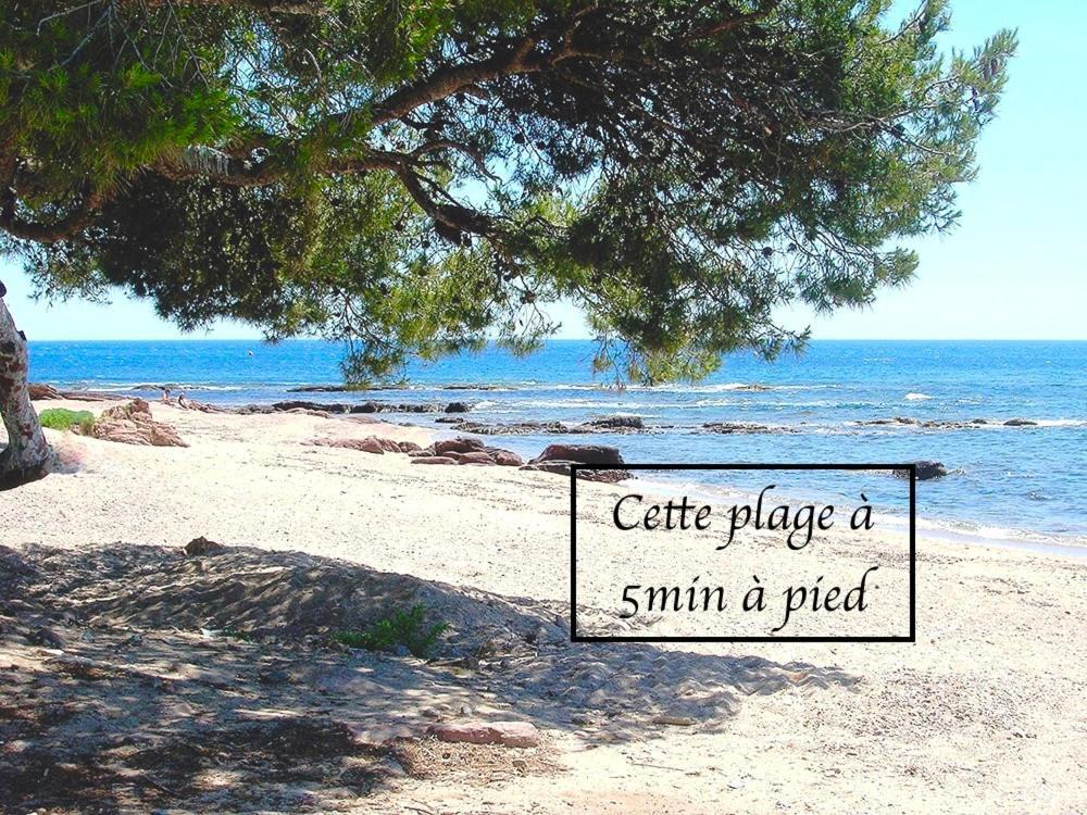 Appartement Plage Et Nature แซ็งต์-ราฟาเอล ภายนอก รูปภาพ